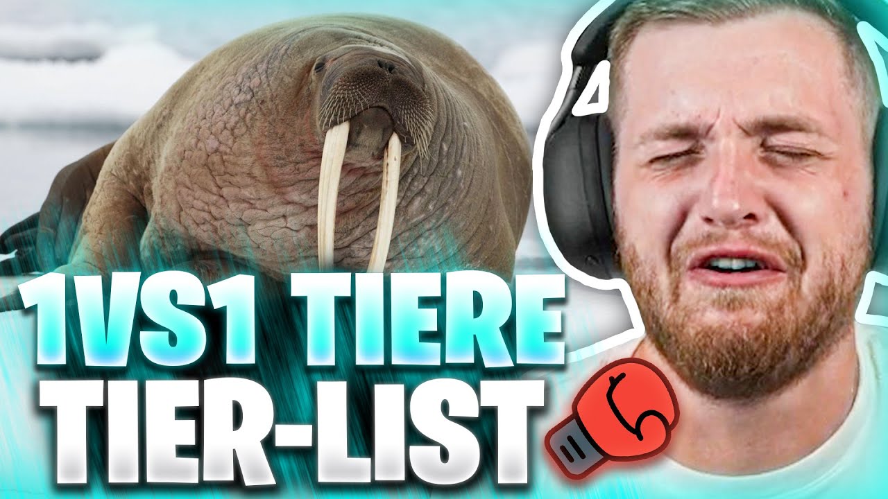 😨🤯Welches TIER HAUT MICH KO im FIGHT?! - 1VS1 TIERE TIER-LIST | Trymacs Stream Highlights