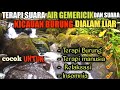 TERAPI SUARA AIR GEMERICIK DAN KICAUAN BURUNG LIAR | TERAPI AIR UNTUK BURUNG MACET BUNYI | SUARA AIR