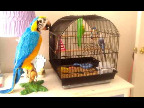 furreal bird in cage