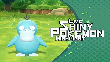 [Live] Shiny Psyduck No Chain | Pokemon Let