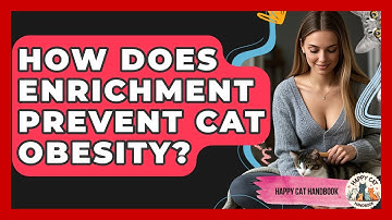 How Does Enrichment Prevent Cat Obesity? - Happy Cat Handbook