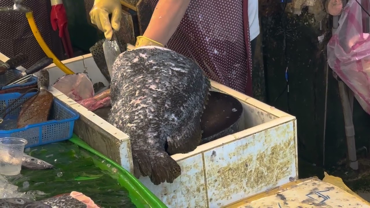 cut fish 縮圖