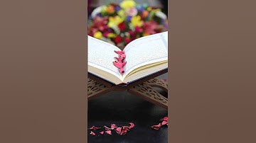 بسم الله الرحمن الرحيم ايات الكرسي #القرآن_الكريم #سورة_البقرة #آية_الكرسي #القران_الك#waterfall