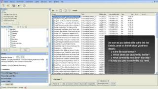 Organyze 3.1 Demo - File Management Software for Individuals & Enteprise Use screenshot 2