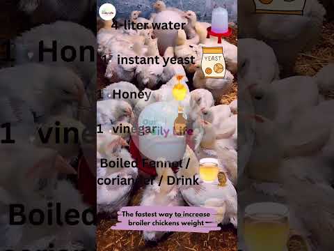 Transform Chicks' Weight
