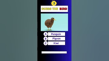 Only Geniuses Can Pass This Quiz! #brain #quiz #sharps #sharp #facts #trivia