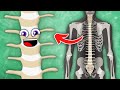 All About YOUR Spine! | The Spine Song | KLT Anatomy