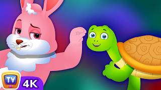tortoise hare ace race bedtime stories 4k kids chuchu tv