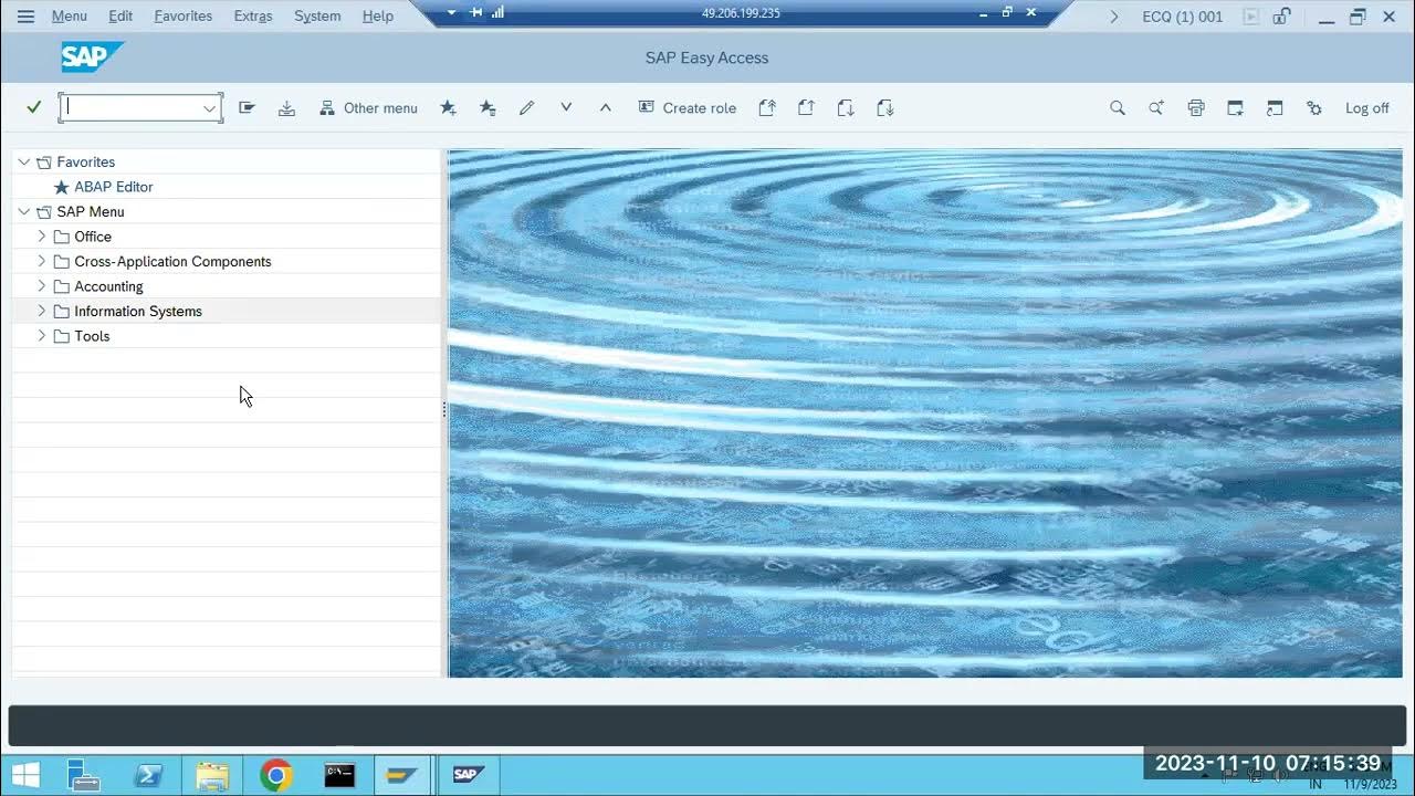SAP OS LEVEL FILE SYSTEM STRUCTURE - YouTube