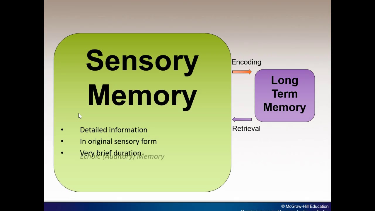 7 апреля память. Psychology Quizlet Chapter 7. 1010 Chapter 7 Learning and Memory.