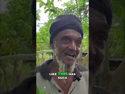 Diabetes Natural Cure: Powerful Herb Benefits Revealed! #shorts