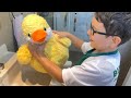Yusuf niloya ve ördeği köpük köpük yıkadı sonra banyo yaptırdı çok eğlendi 😍