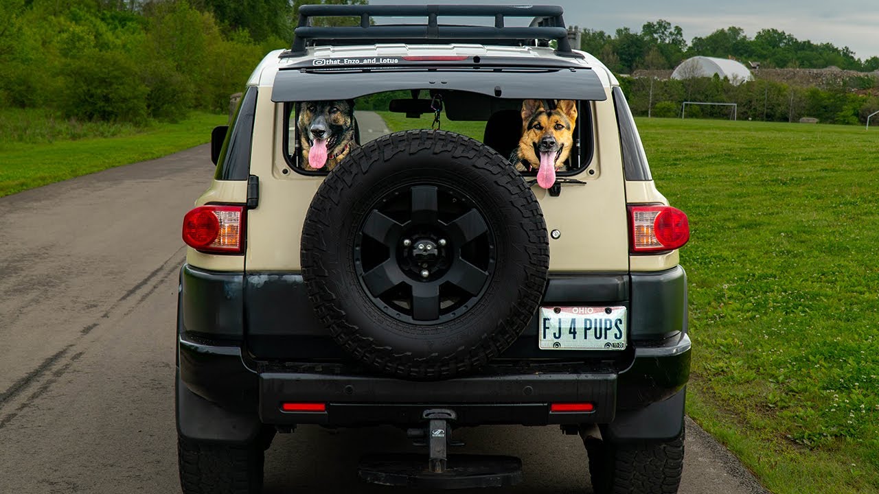 SELLING ALL OF OUR CARS Buying our German Shepherds a New Truck! YouTube