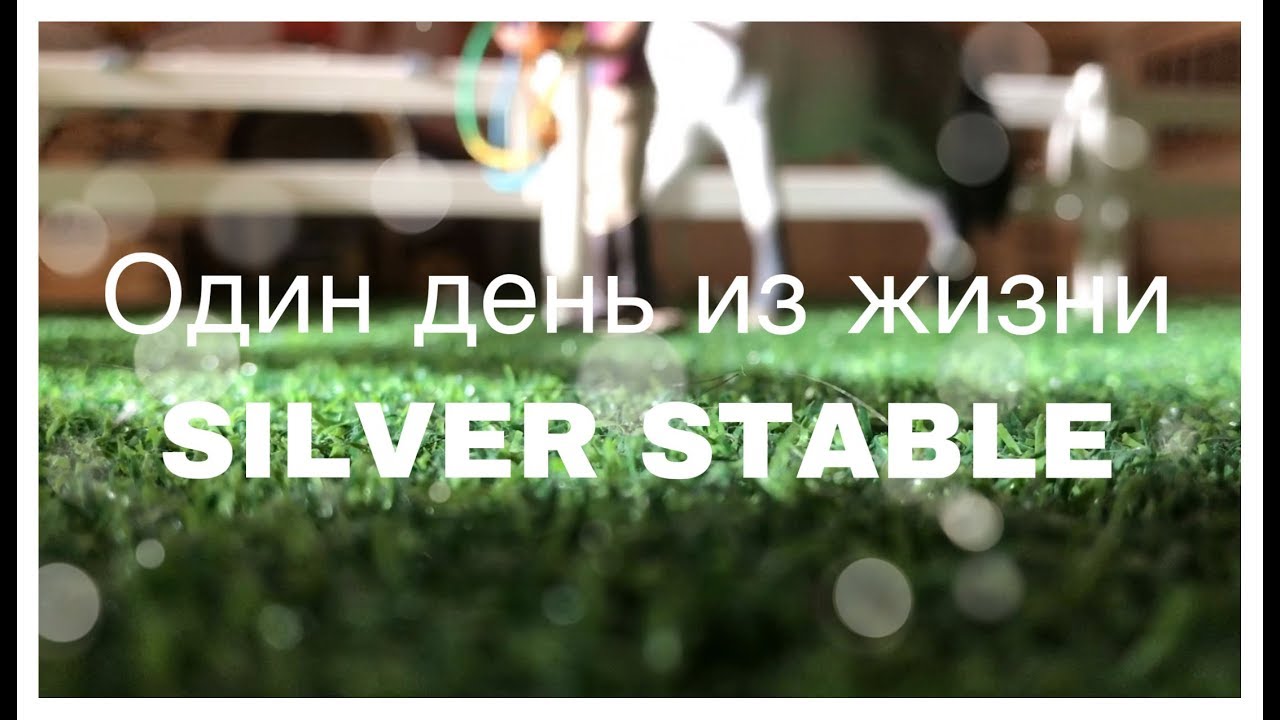 Один день из жизни SILVER STABLE - Mini movie E03