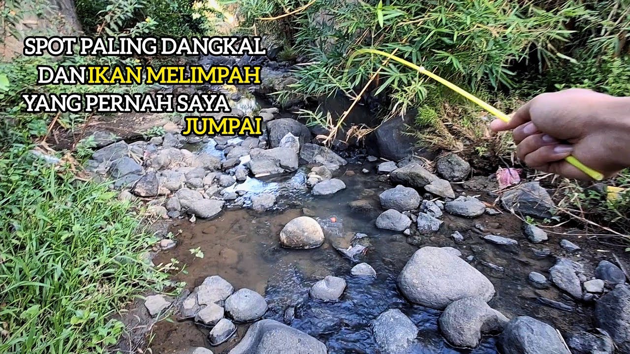 MENELUSURI SEPANJANG SUNGAI SPOT UCENG🎣 MANCING IKAN TEKNIK KUMBUL