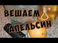 Висельник на самогоне из апельсина. Апельсиновый висельник