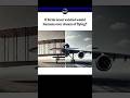 What If Birds Never Existed… Would Humans Still Fly? 🤯✈️ #factshorts #technews #birds #flyingvehicle