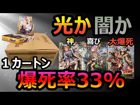 シャドウバースシャドバ光影の二重奏カートン未開封