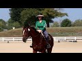 The Bionic Horse| Road to RRP Part 1