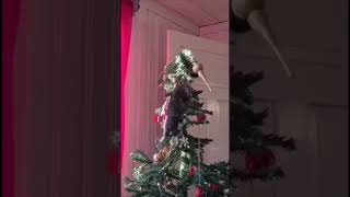 Funny cats 66-8