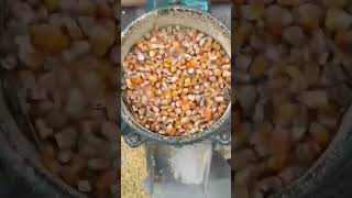 Download Lagu Mais Zerkleinern \u0026 Pressen zu Mini-Pellets | Faszinierender Maschinenprozess MP3