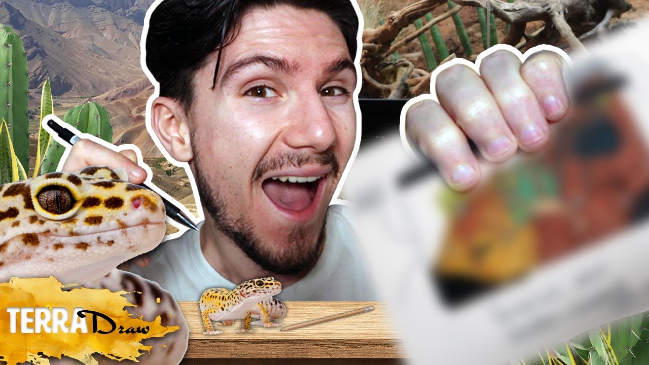 Comment installer un Gecko léopard en dessinant ? (TerraDraw Épisode 1)