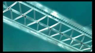 Raptiva Brand Animation - The Bridge