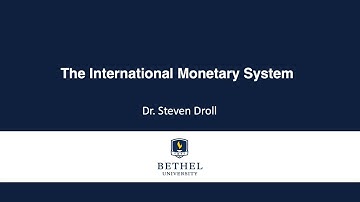 The International Monetary System
