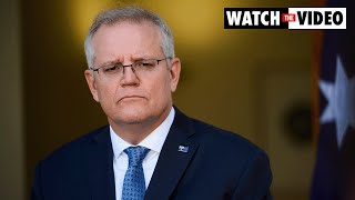 From The Newsroom Podcast: Scott Morrison needs to explain himself
