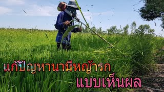 ตัดใบข้าว ตัดหญ้าในนา / แก้ปัญหานามีหญ้ารก [พาทัวร์ ท้ายทุ่ง]EP18