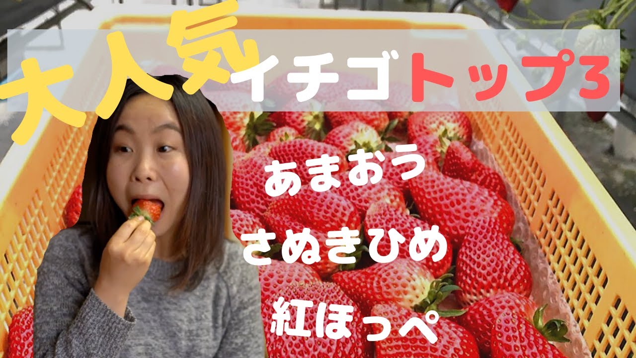 A taste comparison of the top three most popular strawberries