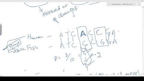 Basics of Phylogenetics - How to calculate evolutionary distance