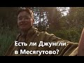 Путешествие по каменному ручью, норы и фантастические пейзажи!