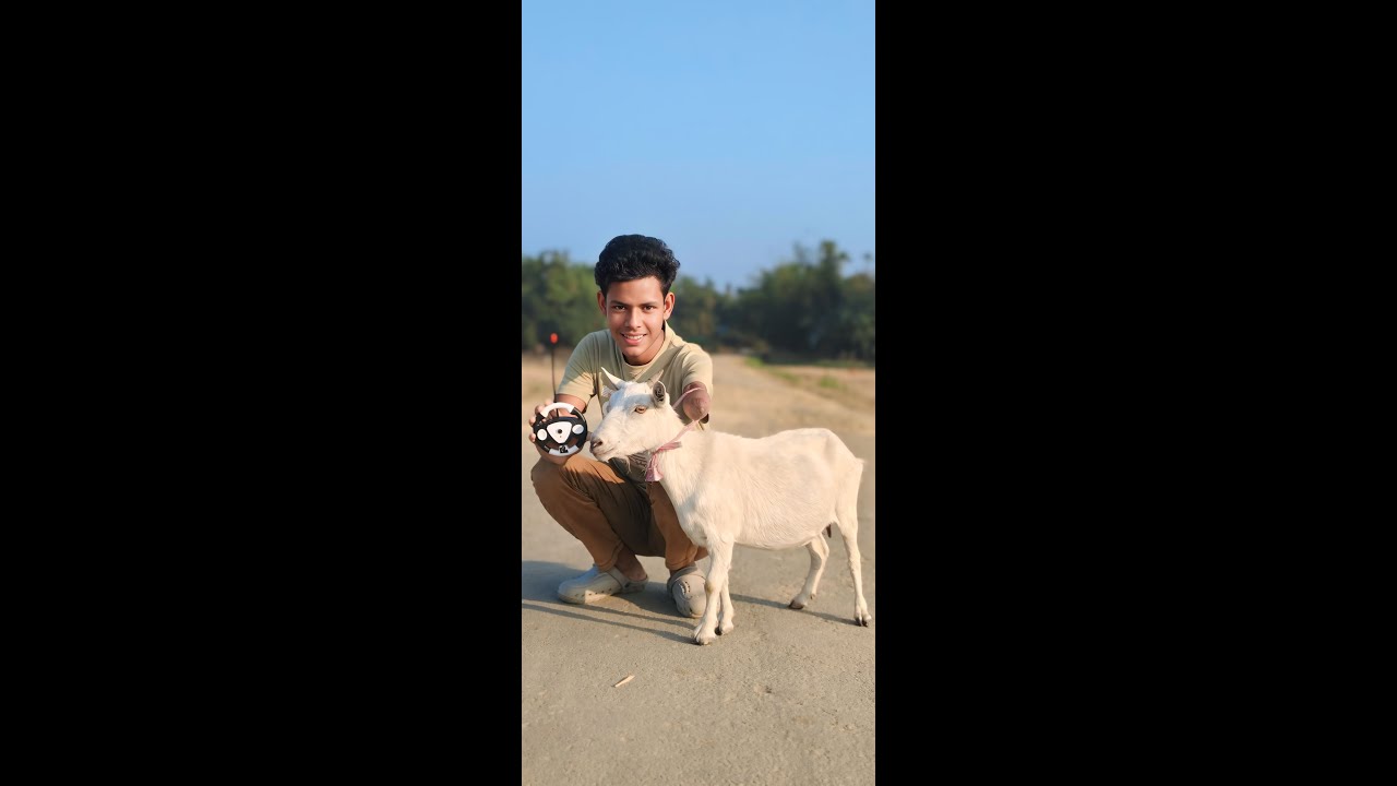 Remote Control Goat Remote control Indian Thar and Rc goat unboxing - YouTube