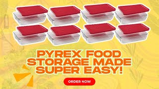 The Best Food Storage Container You Need RIGHT NOW!
