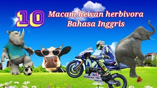 cara cepat belajar bahasa inggris diiringi musik DJ