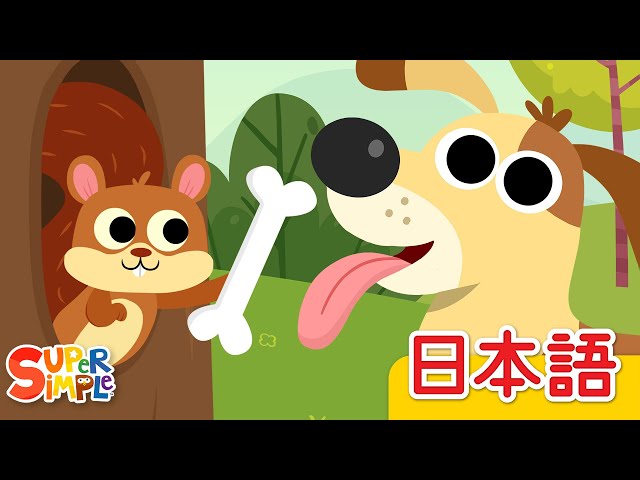 くり　もじゃ犬　うたたね　白オレンジ くり もじゃ犬 うたたね 白オレンジ くり もじゃ犬 うたたね 白