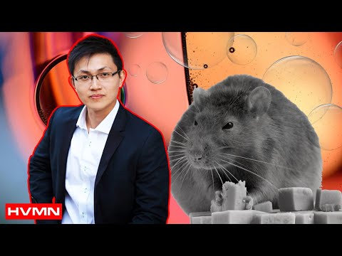 heart-health-&-diabetes:-how-diet-&-hypoxia-affects-metabolic-flexibility-·-dr.-latt-mansor-·-#131