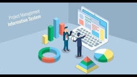 Project Management Information System