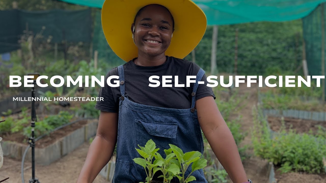 We failed to grow enough food in 2024 | Millennial Homesteader | South African Farm