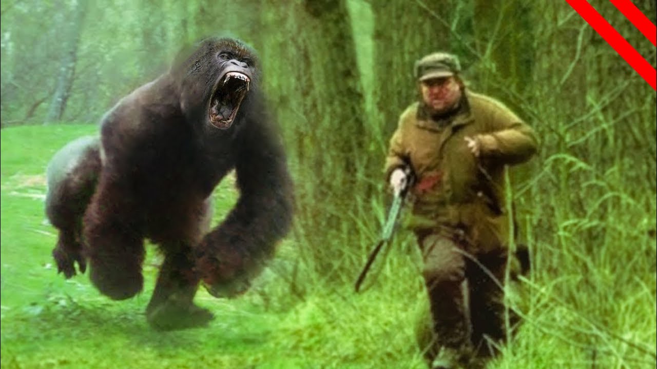 When Animals Fight Back – Human vs Animal Stories Of Wildlife
