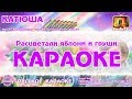 Караоке - "Катюша" Новая Версия Народная Военная песня | Russian Folk Song Karaoke