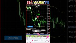Giá vàng tuần tới sẽ BẬT TĂNG hay GIẢM MẠNH