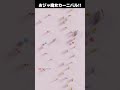 おジャ魔女カーニバル!! BGM #marble #music #shorts
