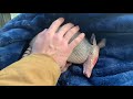 I GOT LEPROSY from an ARMADILLO (Creature Feature)