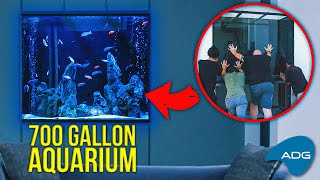 Full Installation: 700 Gallon Modern African Cichlid Aquarium