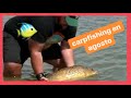 Carpfishing en Agosto