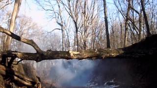Tree bridge explosion