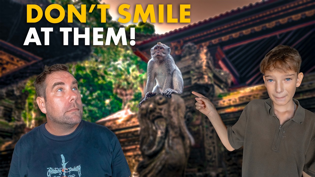 Don't Smile at the Monkeys! (Here's Why) 🐒🇮🇩