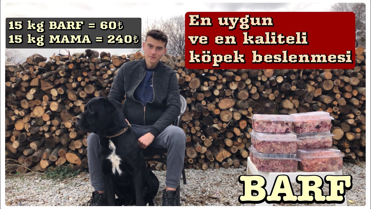 DÜNYANIN EN İYİ KÖPEK BESLENMESİ / Cane corsolarımı barf ile besliyorum #barfnasılhazırlanır?